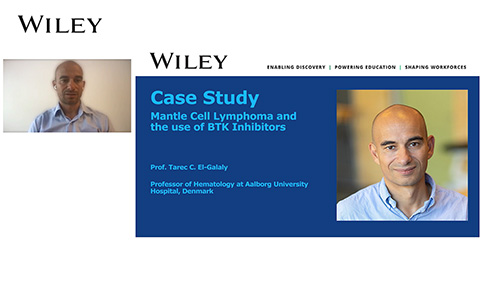 Tarec El-Galaly - Case Study